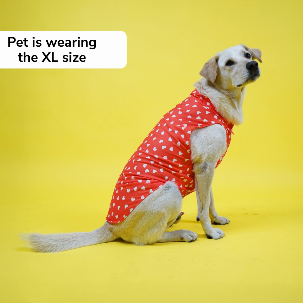 Skatrs All Hearts Printed Shirt for Dogs and Cats (Red)