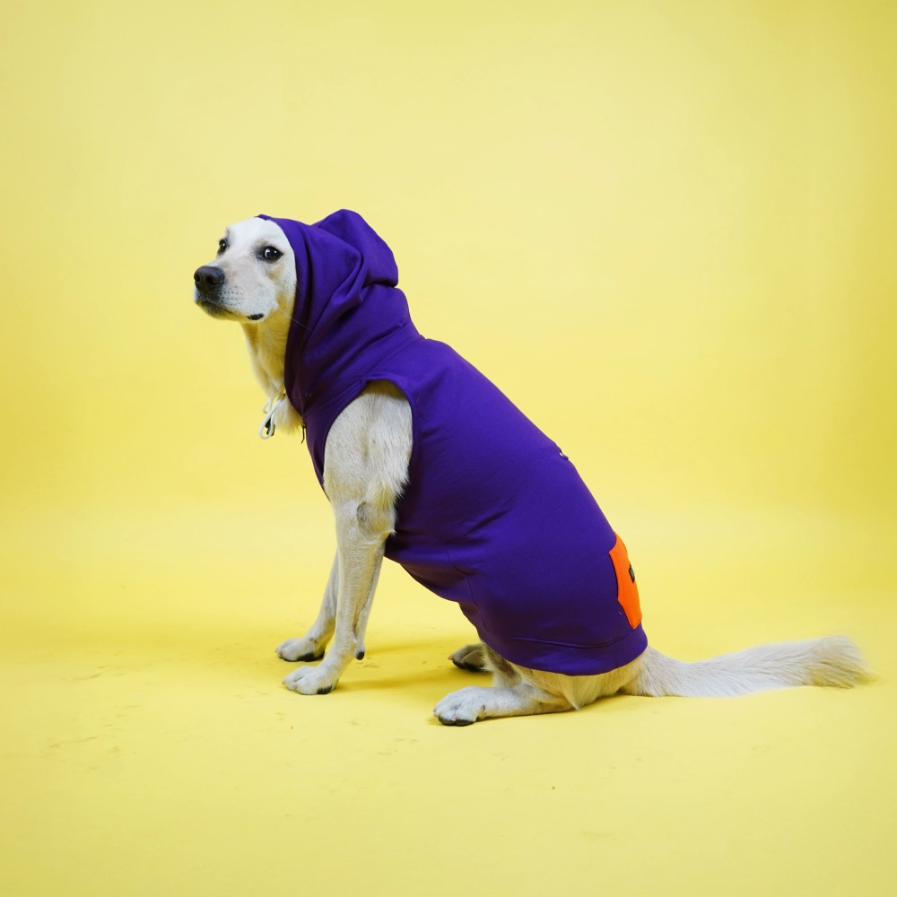 Skatrs Blaze Breezy Hoodies with Pockets for Dogs and Cats (Violet)