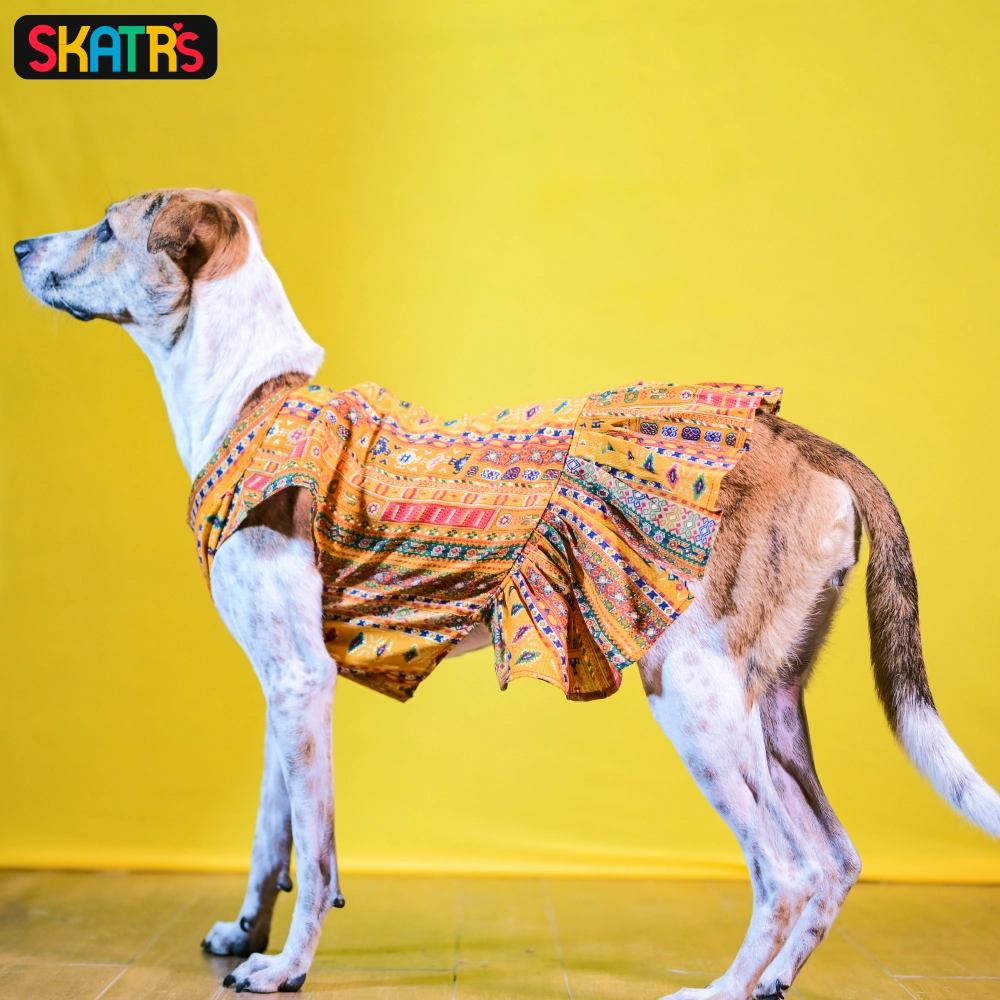 Skatrs Cotton Printed Dress for Dogs and Cats (Yellow)