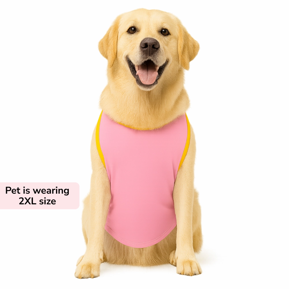 Skatrs Duck Duck Duck Cotton T shirt for Dogs and Cats