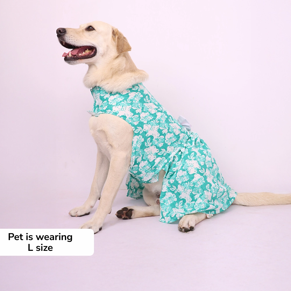 Skatrs Floral Grace Dress for Dogs and Cats (Blue)