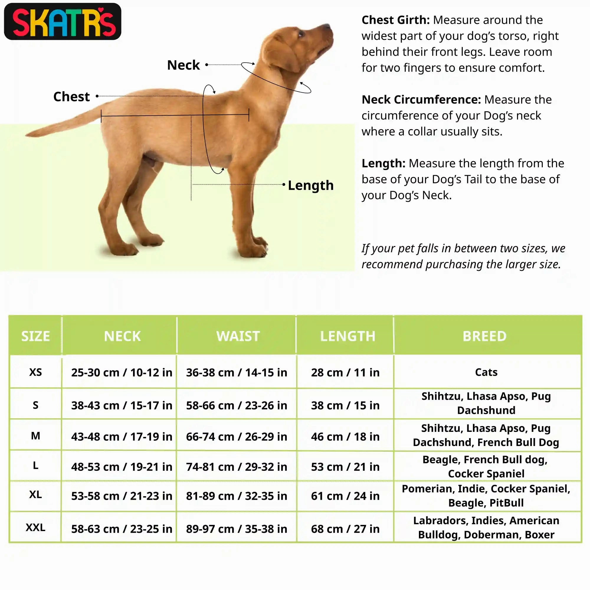 Skatrs Floral Grace Dress for Dogs and Cats (Blue)