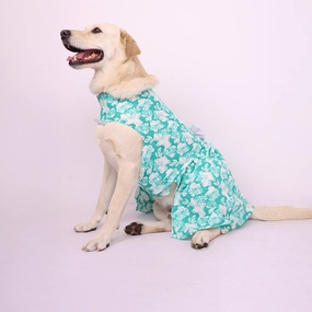 Skatrs Floral Grace Dress for Dogs and Cats (Blue)