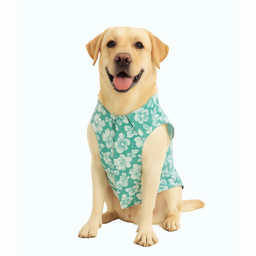 Skatrs Floral Grace Kurta for Dogs and Cats (Blue)