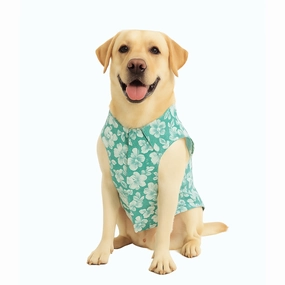 Skatrs Floral Grace Kurta for Dogs and Cats (Blue)