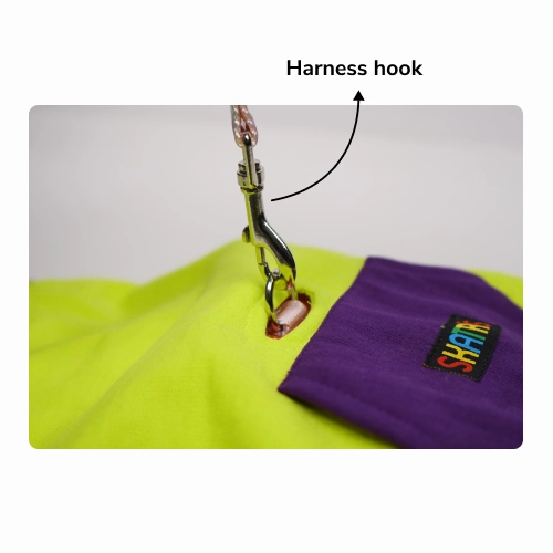 Skatrs Galaxy Breezy Hoodies with Pockets for Dogs and Cats (Green)
