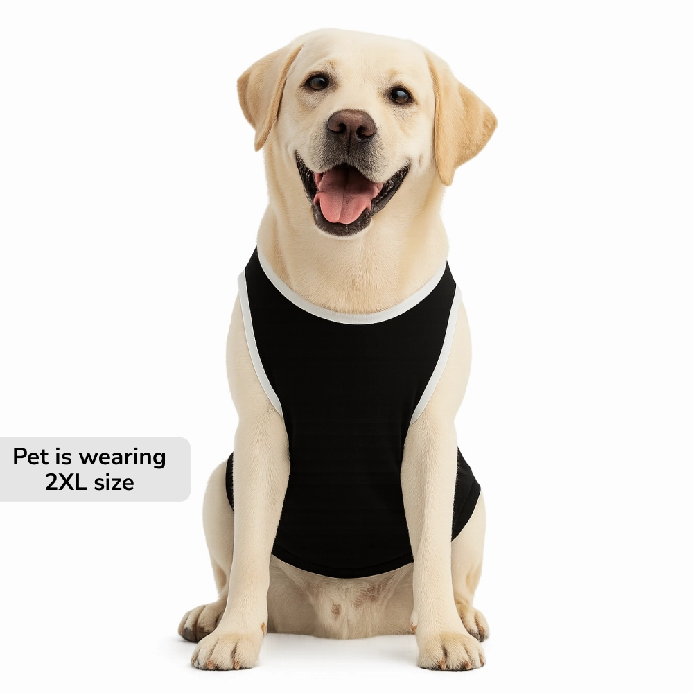 Skatrs Moody Cotton T shirt for Dogs and Cats