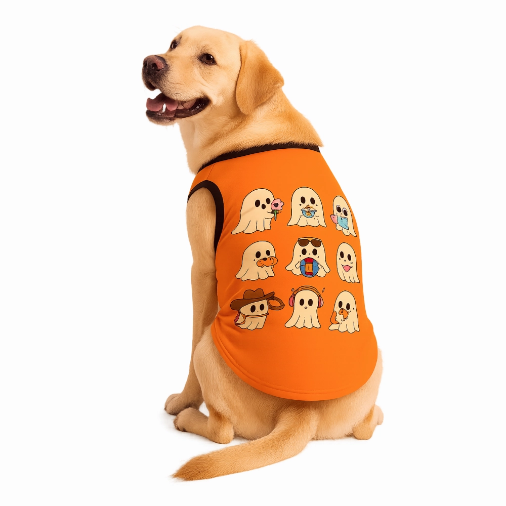Skatrs Peekaboo Cotton T shirt for Dogs and Cats