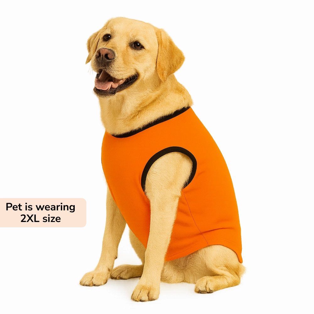Skatrs Peekaboo Cotton T shirt for Dogs and Cats
