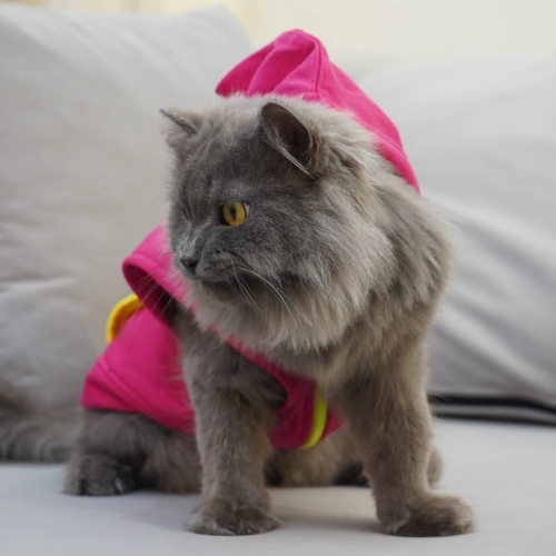 Skatrs Pop Breezy Hoodies with Pockets for Dogs and Cats (Pink)