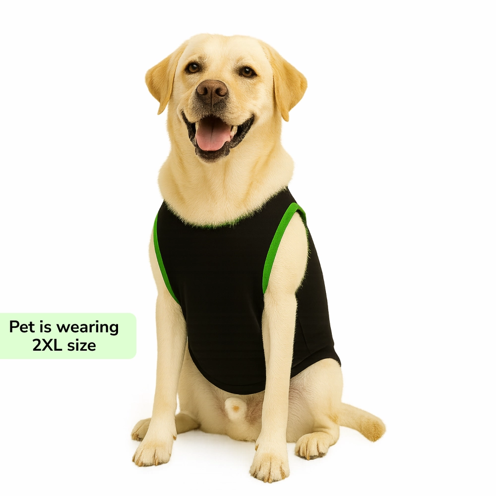 Skatrs Toadly Cute Cotton T shirt for Dogs and Cats