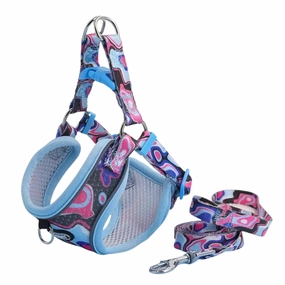 Supet Adjustable Dog Harness and Leash Set (Blue) - Small