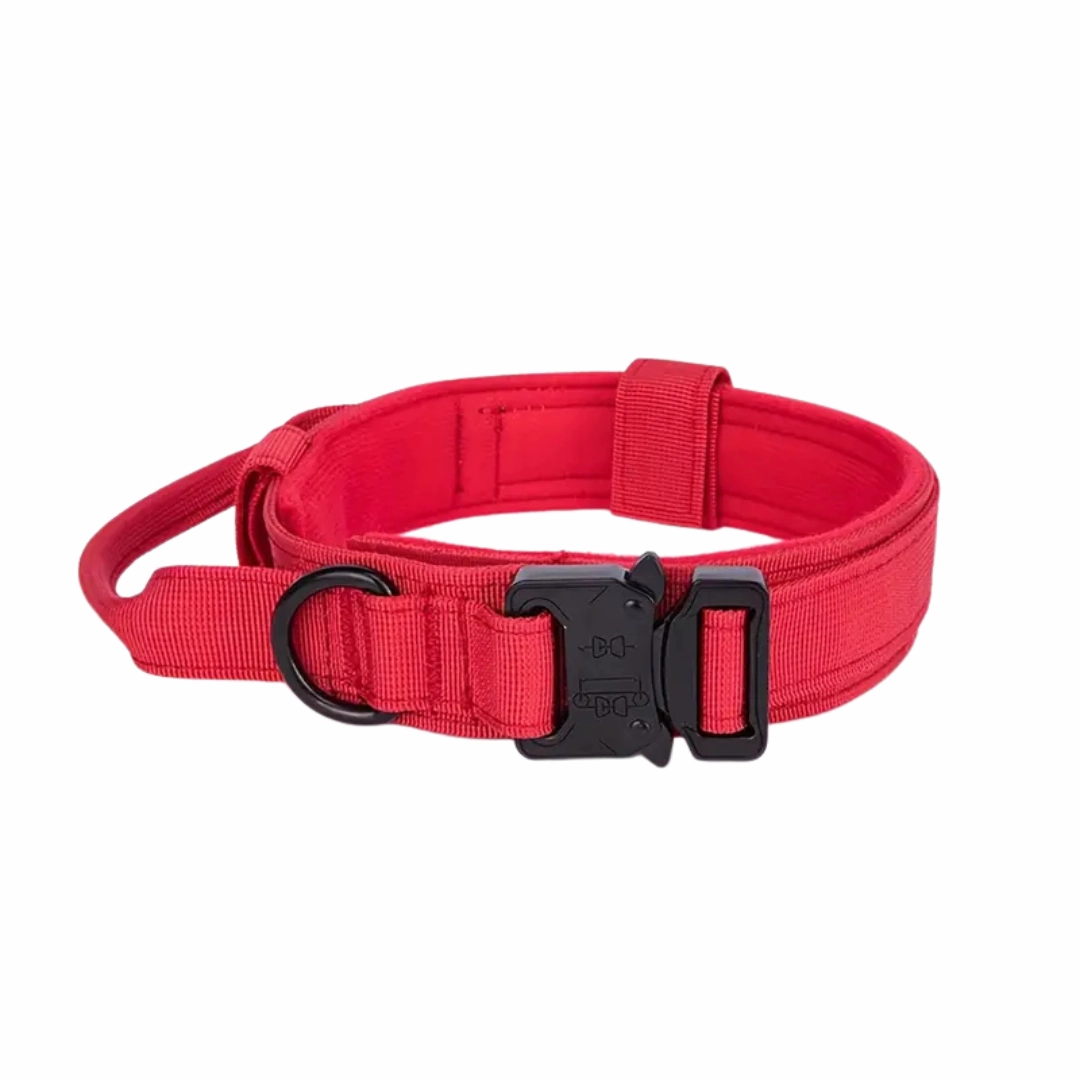 Tactical Dog Collar - Red - (M)