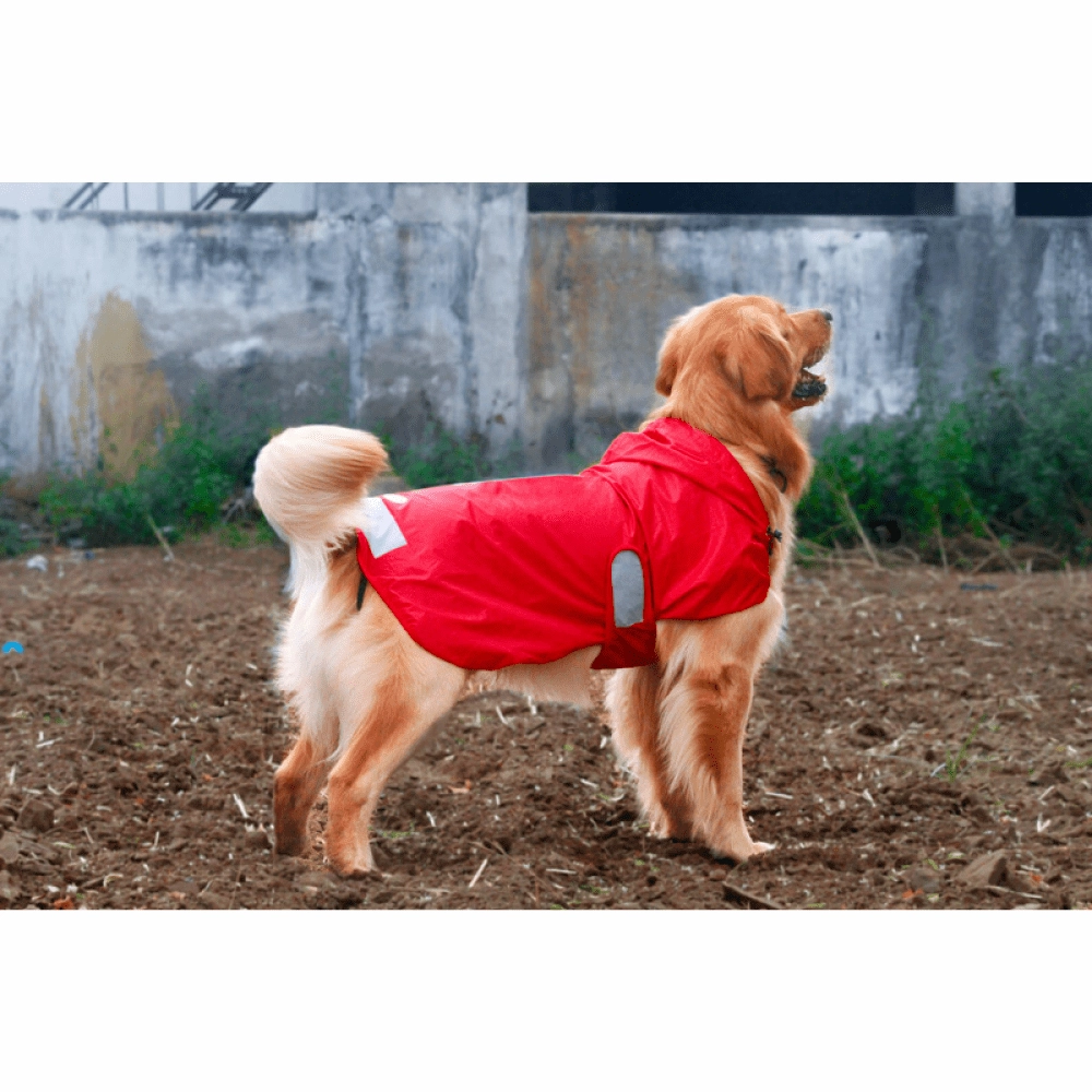The Drizzle Deflector - Adjustable & Reflective Raincoat for Dogs by Lana Paws (Red Solid)