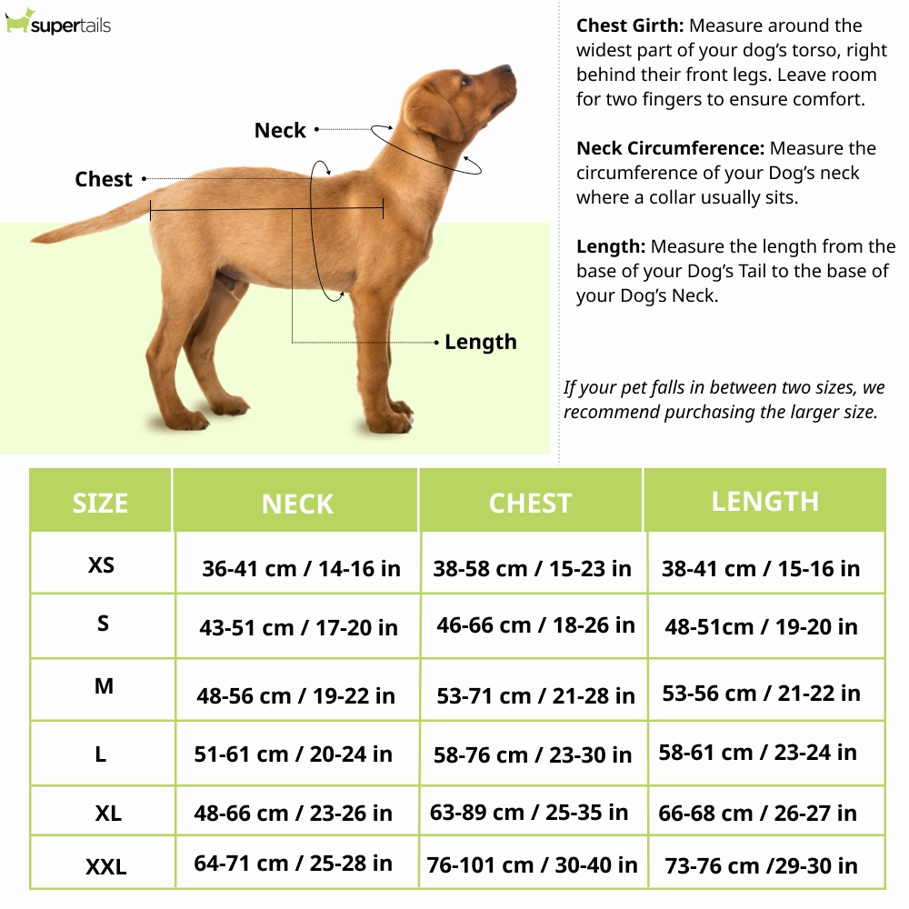 The Drizzle Deflector - Adjustable & Reflective Raincoat for Dogs by Lana Paws (Solid Yellow)