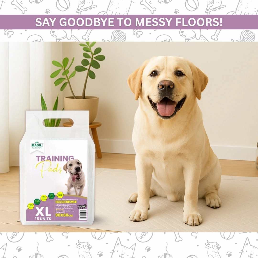 Training Pee Pads, Extra Large (60x90 CMS)