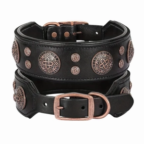 Vintage Leather Dog Collar with Padded Comfort for Medium to Large Breeds - XLarge